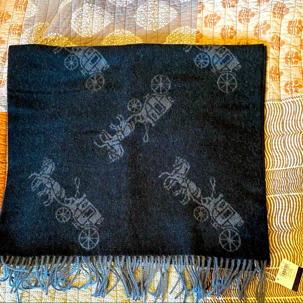Coach scarf